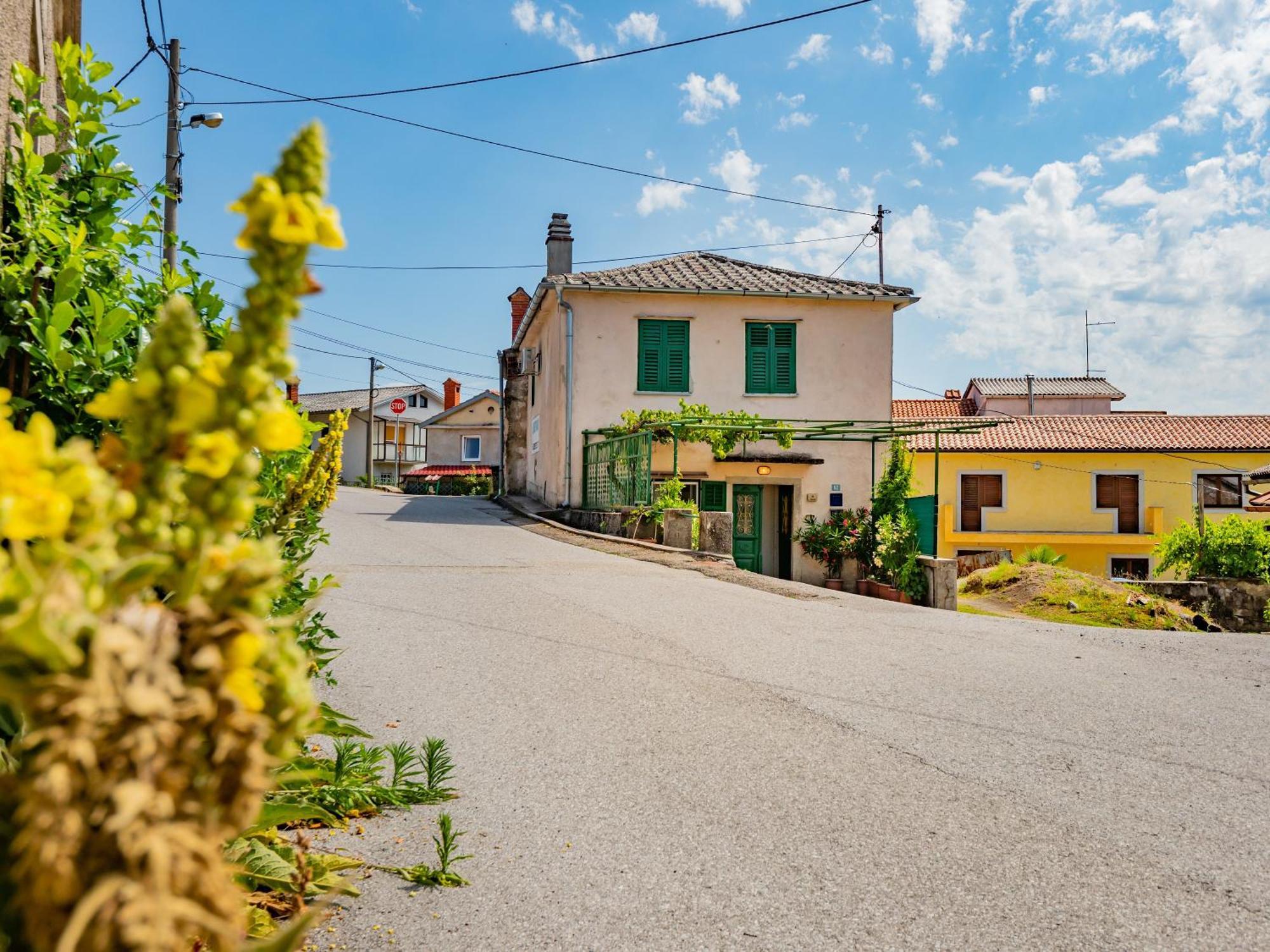 Apartment Sapjane Pilcic Exterior foto